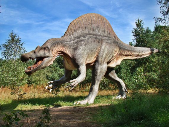 Dinosaur 570x428