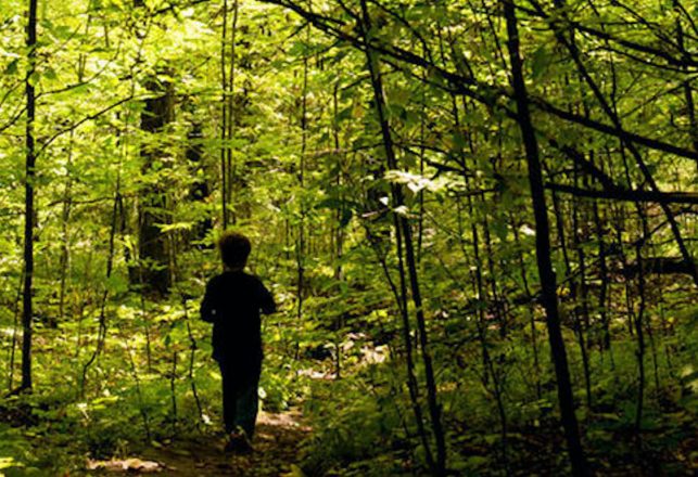 A Black-Eyed Child in Notorious Woods