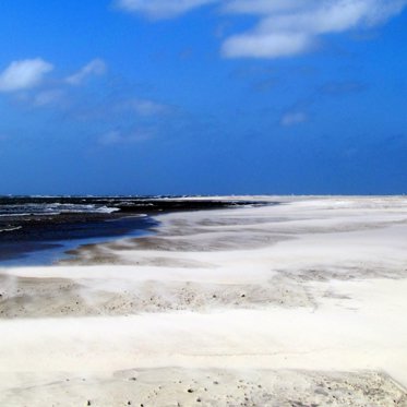 Blackbeard May Be Haunting North Carolina Island