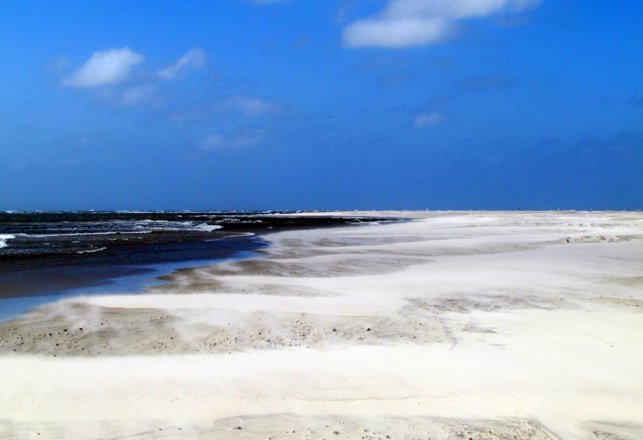 Blackbeard May Be Haunting North Carolina Island