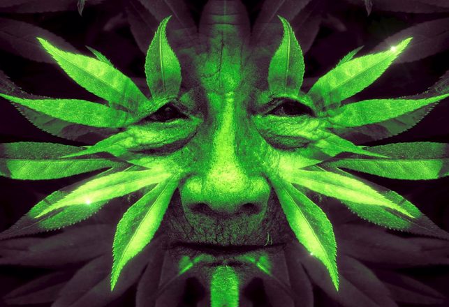 Taking a Look at the “Green Man” Phenomenon