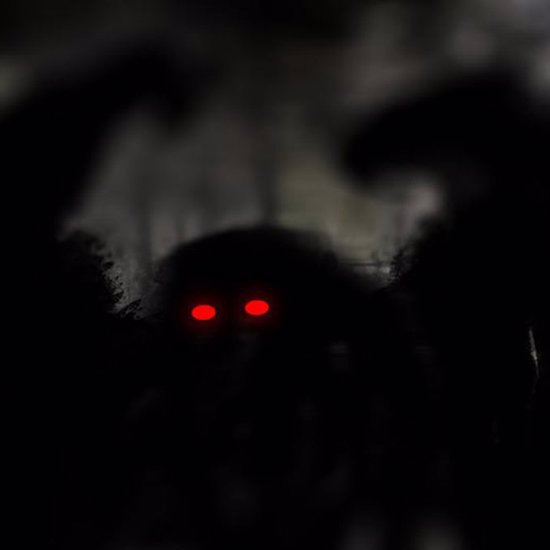 Amazing Tales from the Land of Mothman