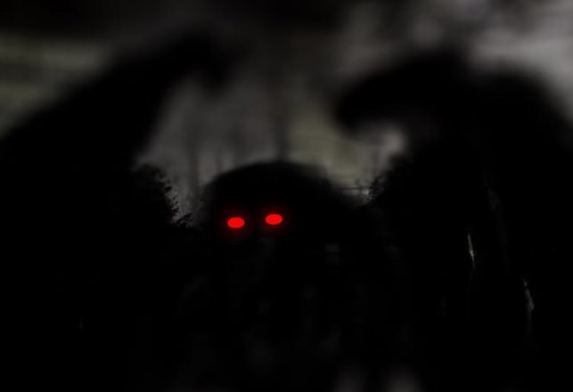 Amazing Tales from the Land of Mothman