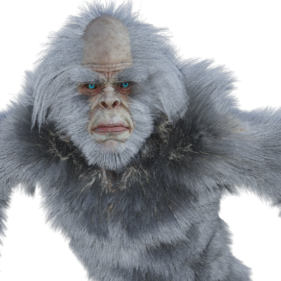 The Bigfoot Creatures: Occasionally Albinos?