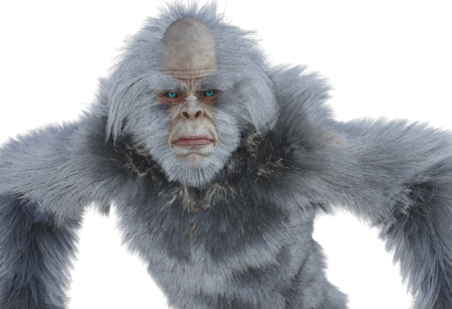 The Bigfoot Creatures: Occasionally Albinos?