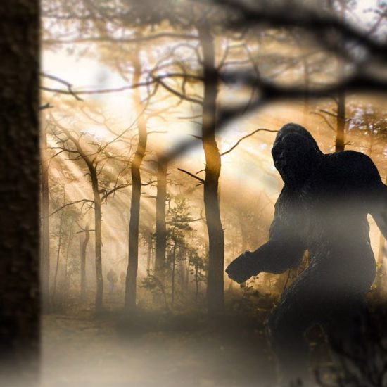 The Paranormal Side of the Bigfoot Mystery