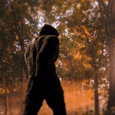 The World’s Most Famous Monsters, The Bigfoots: Not What They Appear To Be. It’s Much Stranger