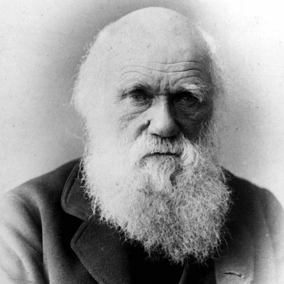 Charles Darwin 1875 b