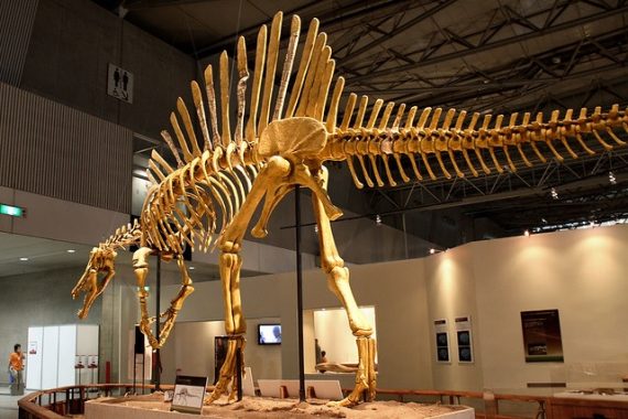 Spinosaurus1 570x380