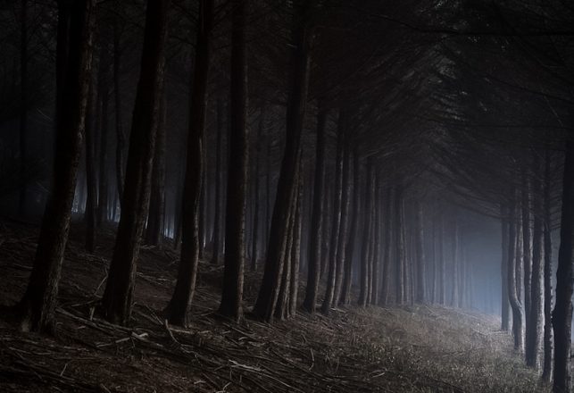 A Sinister Haunted Well in a Mysterious Forest in England