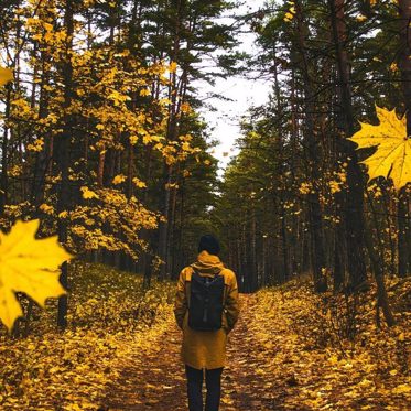 UFOs: The “Falling Leaf” Phenomenon