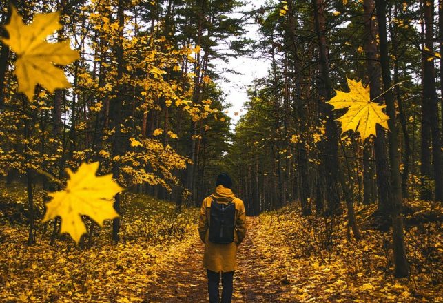 UFOs: The “Falling Leaf” Phenomenon