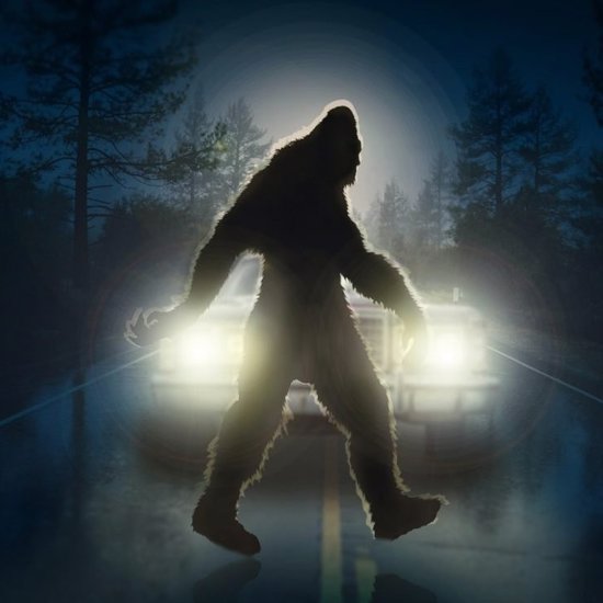 ‘Small Town Monsters’ Founder Meets a Hometown Bigfoot