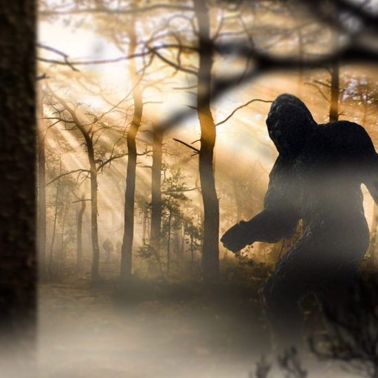 10-Foot-Tall Bigfoot Sighting in Minnesota Town Dubbed the “Home of Bigfoot”