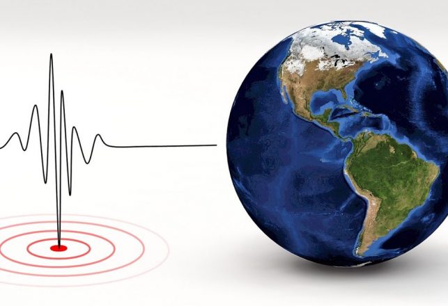 Seismologists Say the Coronavirus Has Changed the Way the Earth Moves