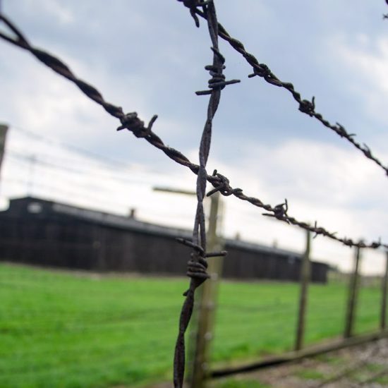 First Look Since 1945 at Nazi Concentration Camp in the UK
