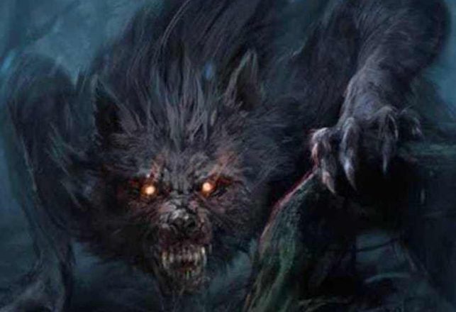 The Mysterious Wolfman of the Great Dismal Swamp