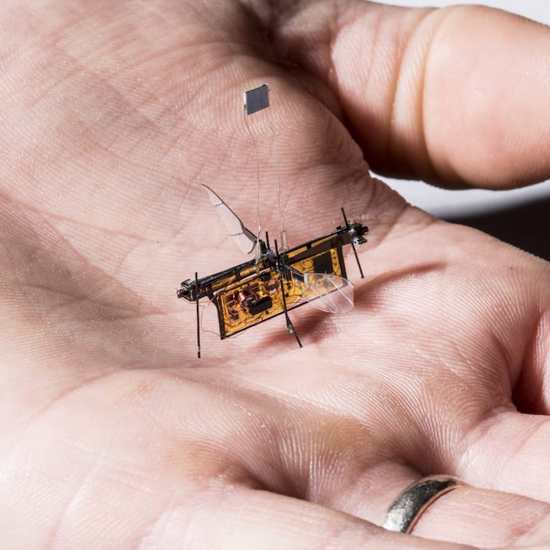 The Weird World of Robotic Insect Drones