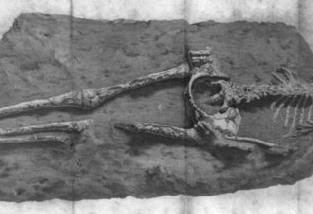 The Mystery of the Guadeloupe Woman, the Skeleton in Rock