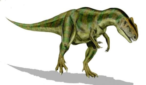 Allosaurus 570x334