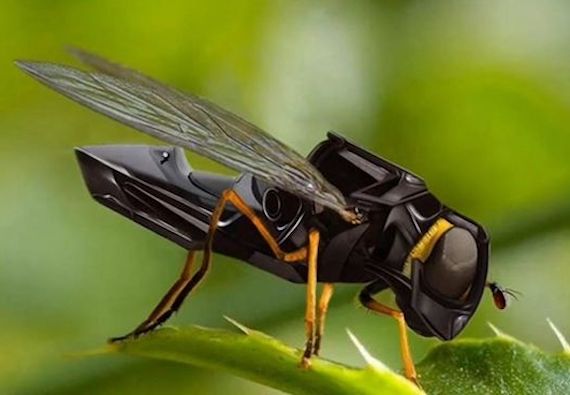 The Weird World of Robotic Insect Drones