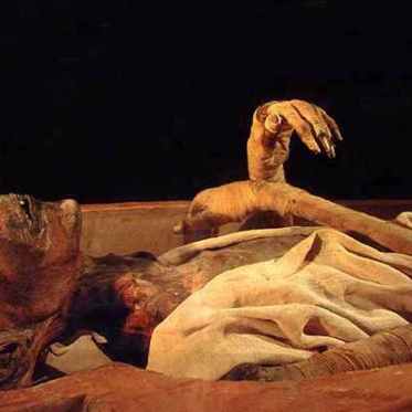 The Mystery of the Cocaine Mummies