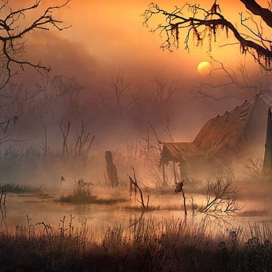 The Mysterious Disappearance of the Lady of the Swamp