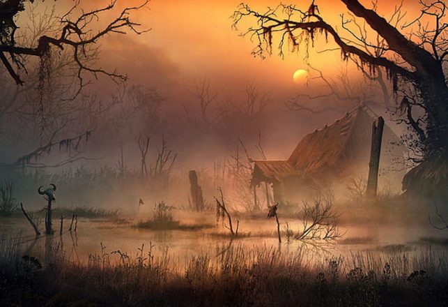 The Mysterious Disappearance of the Lady of the Swamp