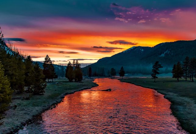 The Real Life Purge: Yellowstone’s Zone of Death