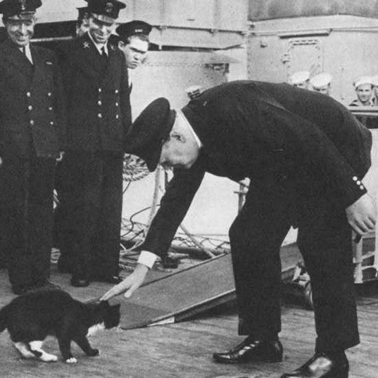 The Amazing Story of the Cat Called Unsinkable Sam