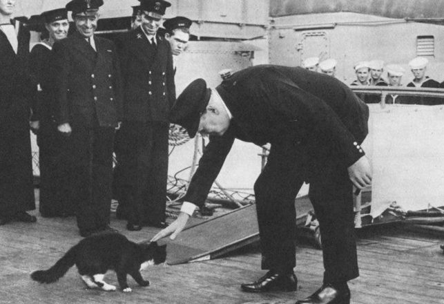 The Amazing Story of the Cat Called Unsinkable Sam