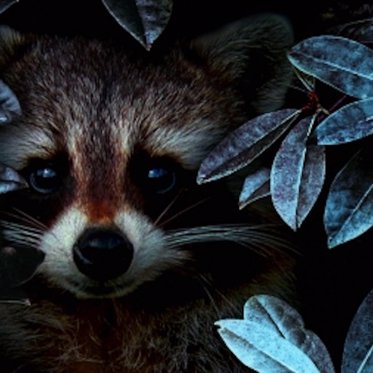 A Nobel Prize Winning Biochemist Encounters an Alien Glowing, Talking Raccoon