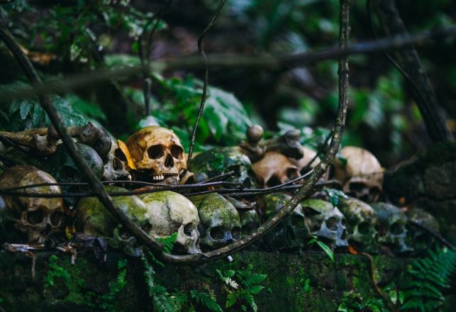 The Horrific Case of the Serial Killing Sorcerer of Indonesia