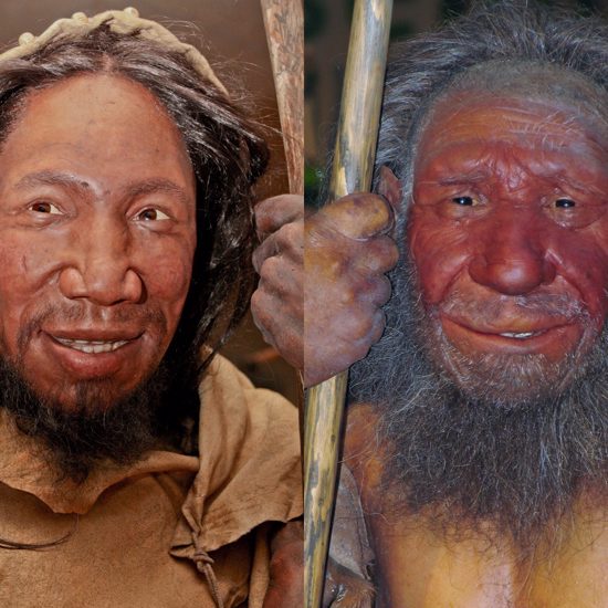 Not So Tough – Neanderthals Couldn’t Handle Pain