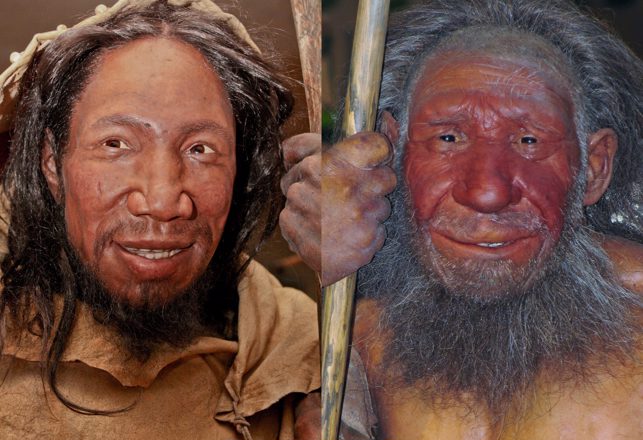 Not So Tough – Neanderthals Couldn’t Handle Pain