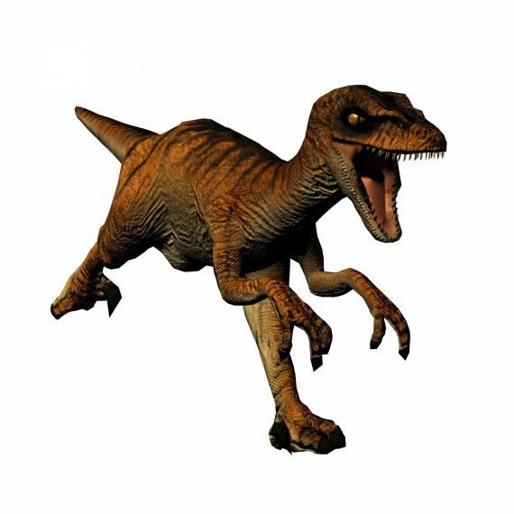 Velociraptor 570x570