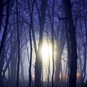 Rendlesham Forest’s “Radar Ruse” and a Secret Experiment: Hiding the Truth