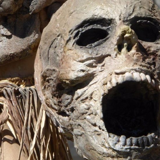 ‘Screaming Mummy’ Heart Attack Theory Screams For More Evidence