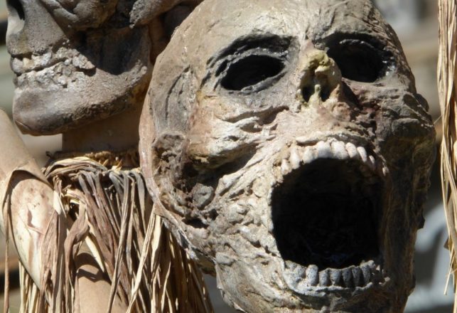 ‘Screaming Mummy’ Heart Attack Theory Screams For More Evidence