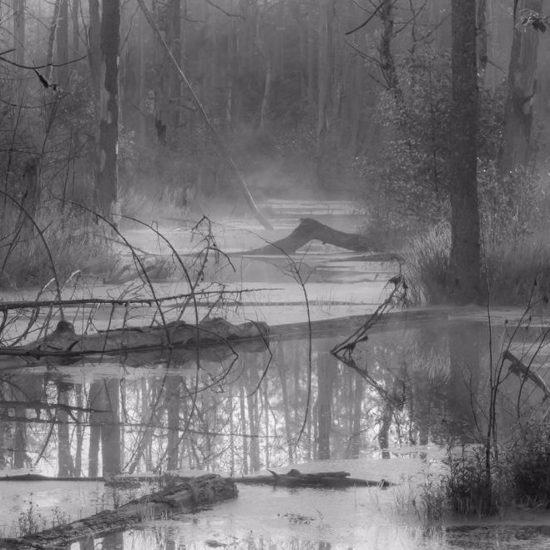 “Sinister Swamps” – A New Book Reviewed