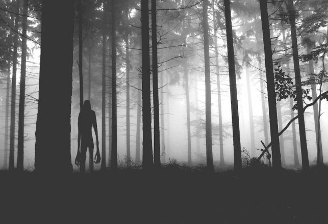 The Strange Case of the Last Wendigo Hunter