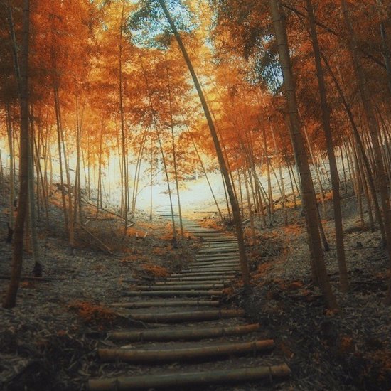Strange Cases of Mysterious Stairs in the Wilderness That Lead to Nowhere