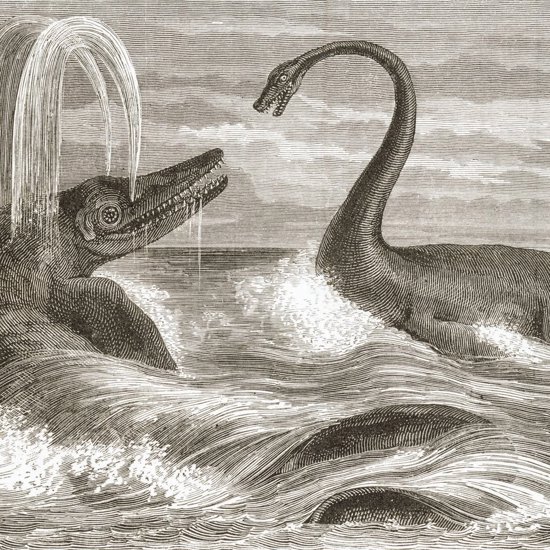 Oldest Ever Evidence of One Giant Sea Monster Eating Another