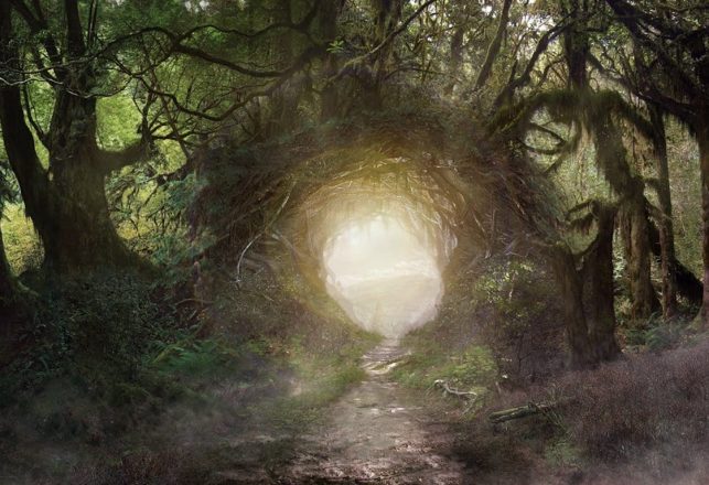 Strange Portals and Reality Rifts in the Wilderness