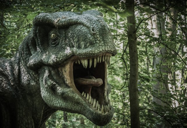 Newly Discovered Dinosaur Species Was A Cousin Of The Tyrannosaurus Rex