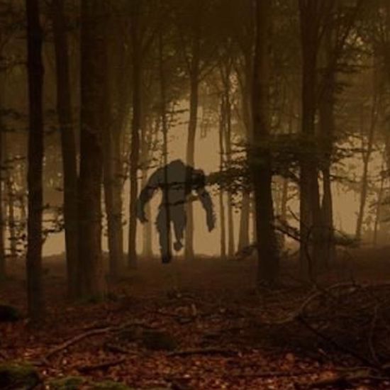 Totally Bonkers Reports of Paranormal Bigfoot