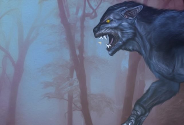 A Cult of the Werewolf: a Strange and Sinister Story