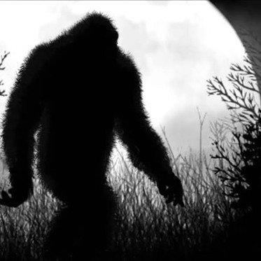 The Mysterious Mogollon Monster of Arizona