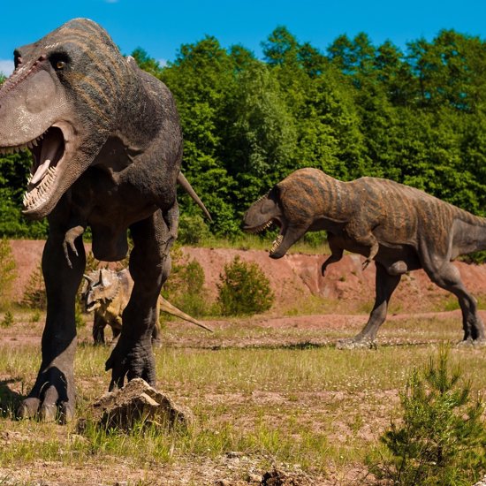 Newly Discovered “Eternal Sleeper” Dinosaurs Were Presumably Buried Alive