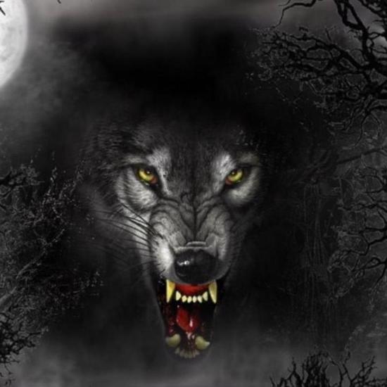 The Reverend and the Monsters: Werewolves, Lycanthropy and Strange “Transformation”
